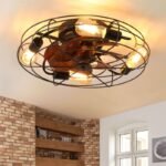 Lantern Style 20 Inch Farmhouse Low Profile Ceiling Fan Light - Black