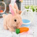 Pet Toys
